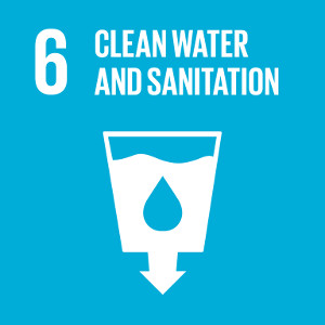 Goal 6: Ensure access to water and sanitation for all