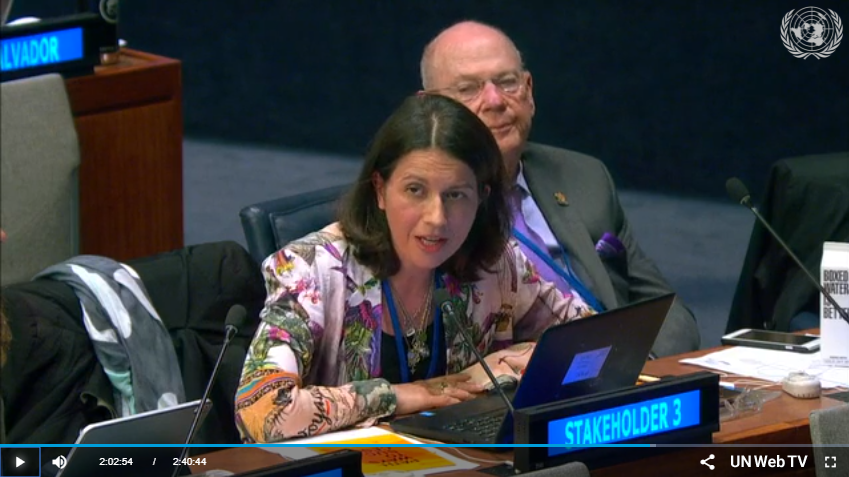 Lucilla Spini intervention in STI Forum 2019 Session 4: Gender and Science, Technology and Innovation for the SDGs