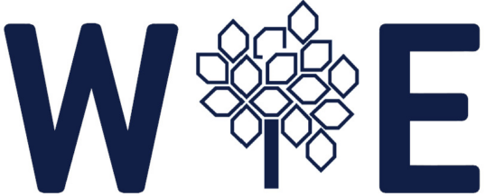 WFEO Committee on Women in Engineering webinar – Open Forum